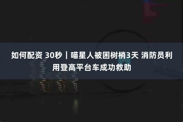 如何配资 30秒｜喵星人被困树梢3天 消防员利用登高平台车成功救助