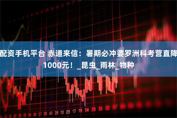 配资手机平台 赤道来信：暑期必冲婆罗洲科考营直降1000元！_昆虫_雨林_物种