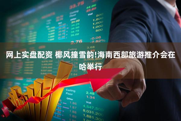 网上实盘配资 椰风撞雪韵!海南西部旅游推介会在哈举行
